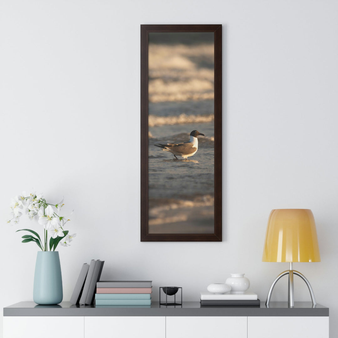 Laughing Gull in the Surf - Framed Print - Visiting This World