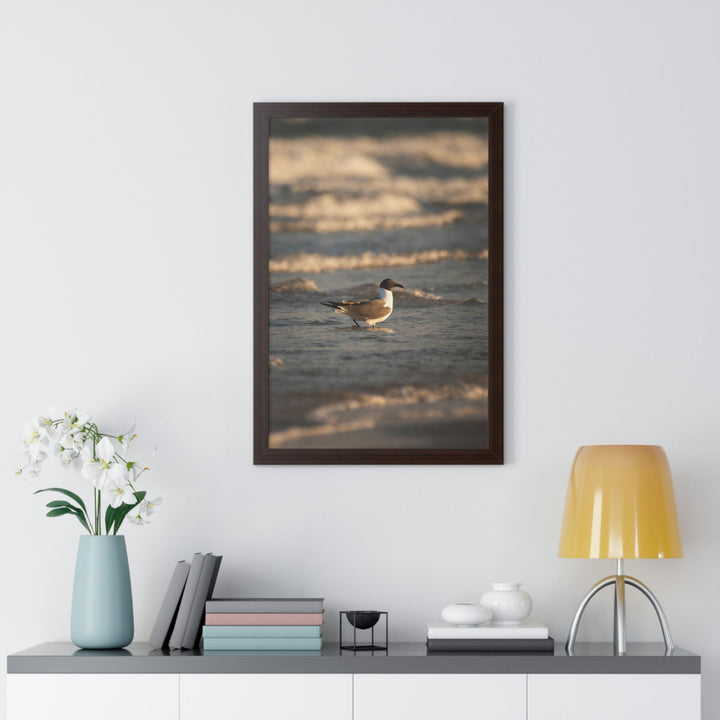 Laughing Gull in the Surf - Framed Print - Visiting This World