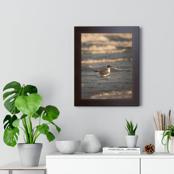 Laughing Gull in the Surf - Framed Print - Visiting This World