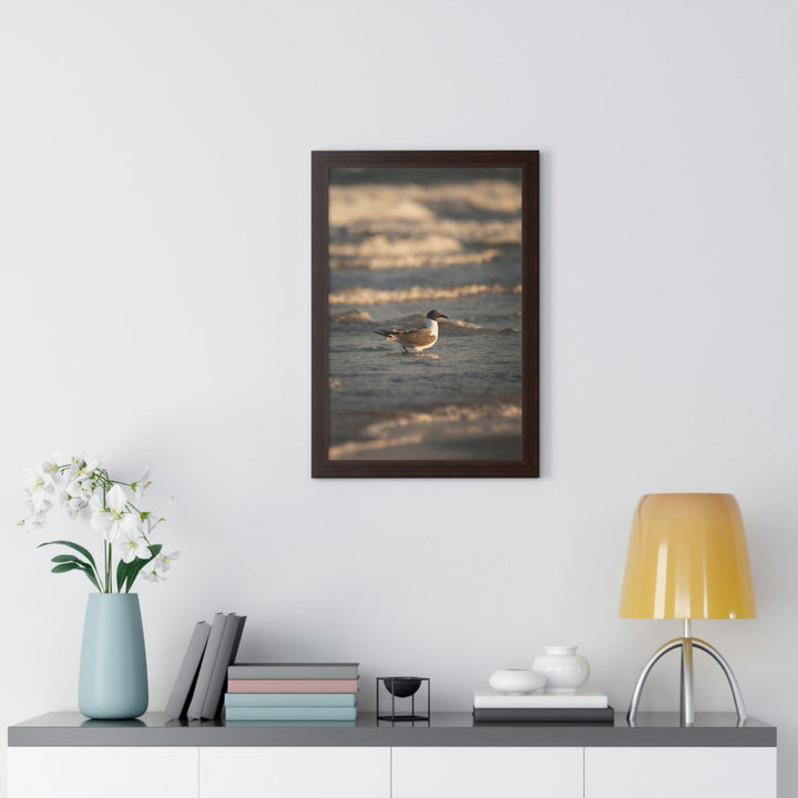 Laughing Gull in the Surf - Framed Print - Visiting This World