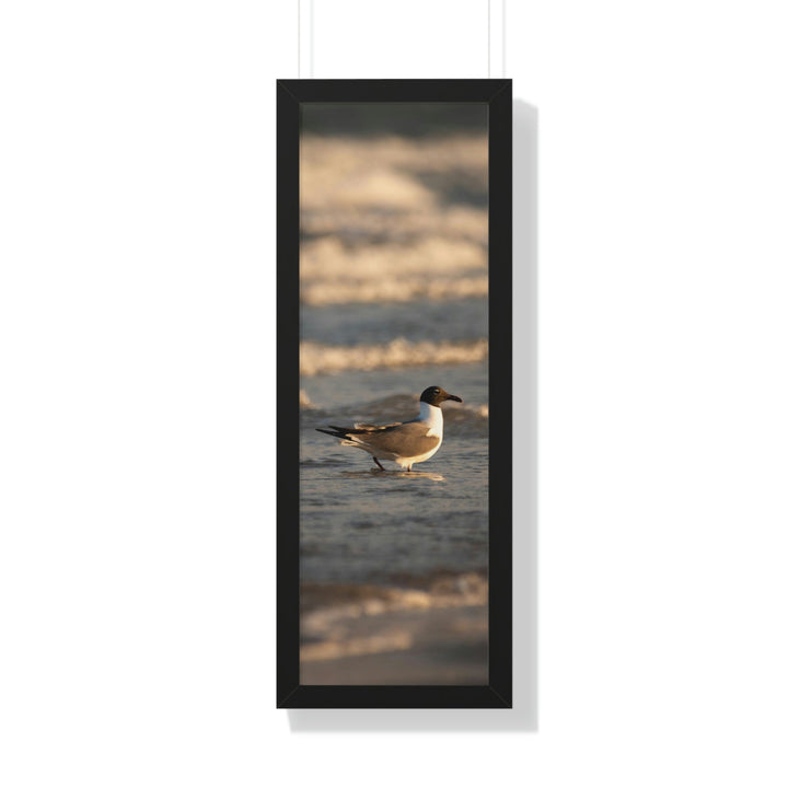 Laughing Gull in the Surf - Framed Print - Visiting This World