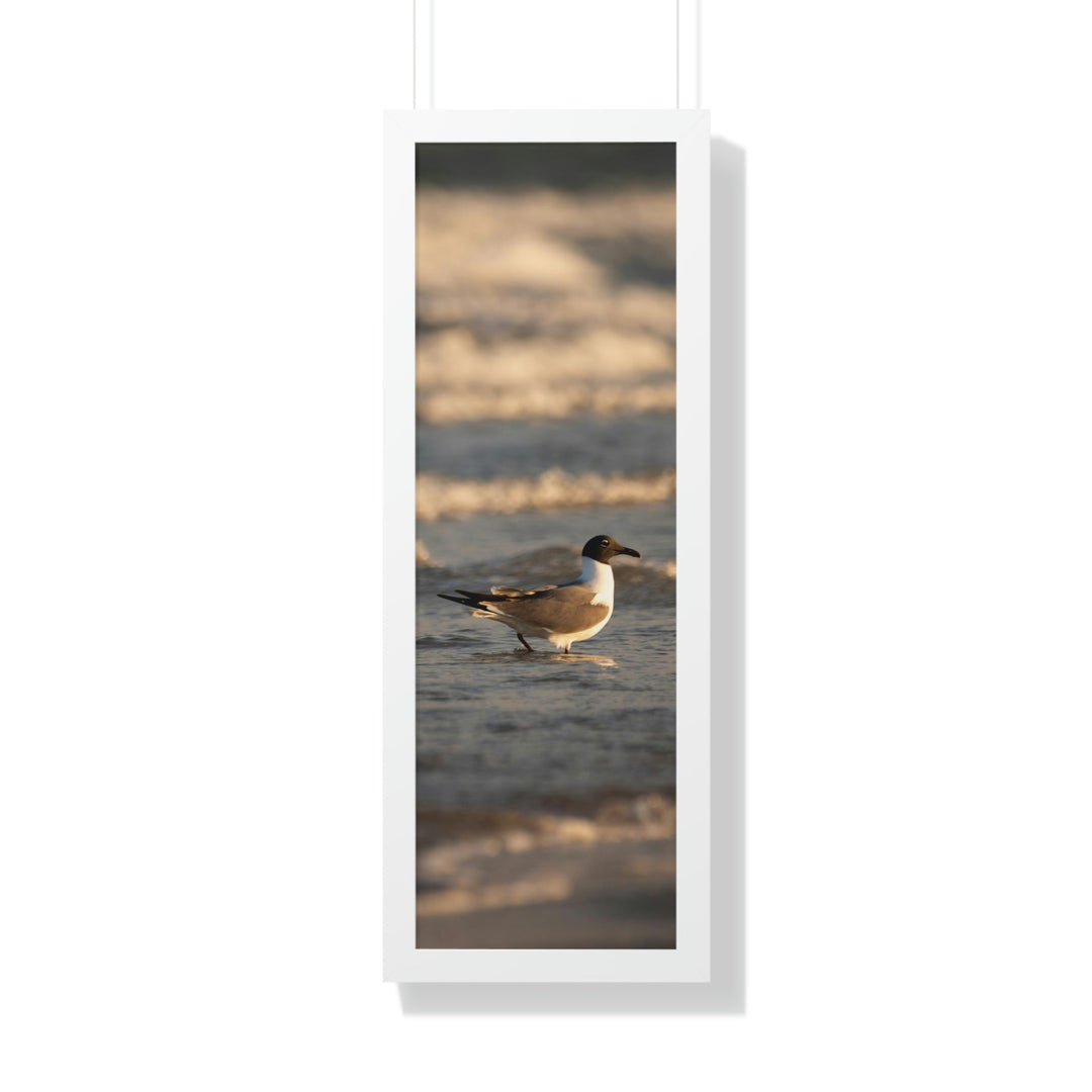 Laughing Gull in the Surf - Framed Print - Visiting This World