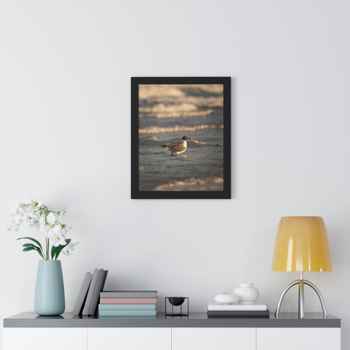 Laughing Gull in the Surf - Framed Print - Visiting This World