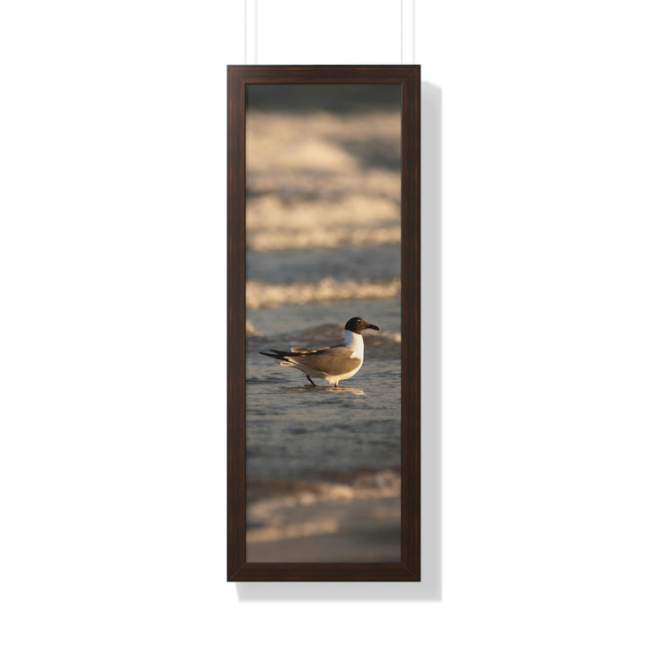 Laughing Gull in the Surf - Framed Print - Visiting This World