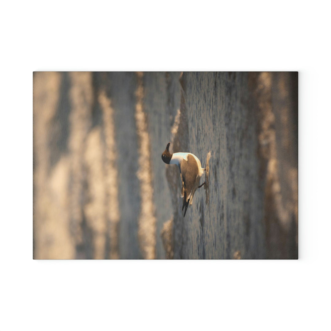 Laughing Gull in the Surf - Glass Cutting Board - Visiting This World