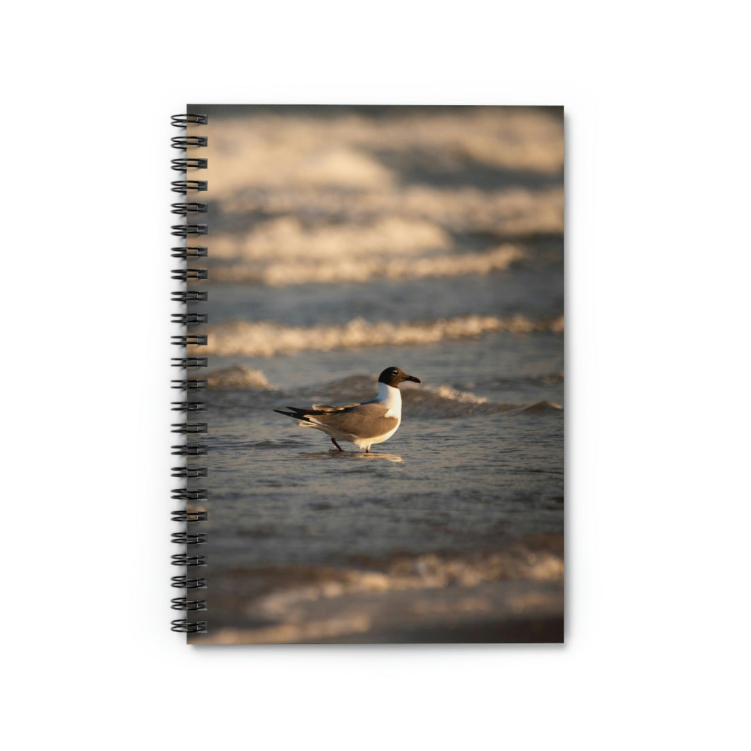 Laughing Gull in the Surf - Spiral Ruled Line Notebook - Visiting This World