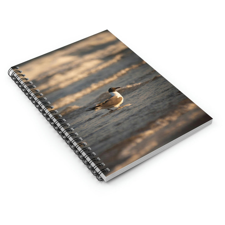 Laughing Gull in the Surf - Spiral Ruled Line Notebook - Visiting This World