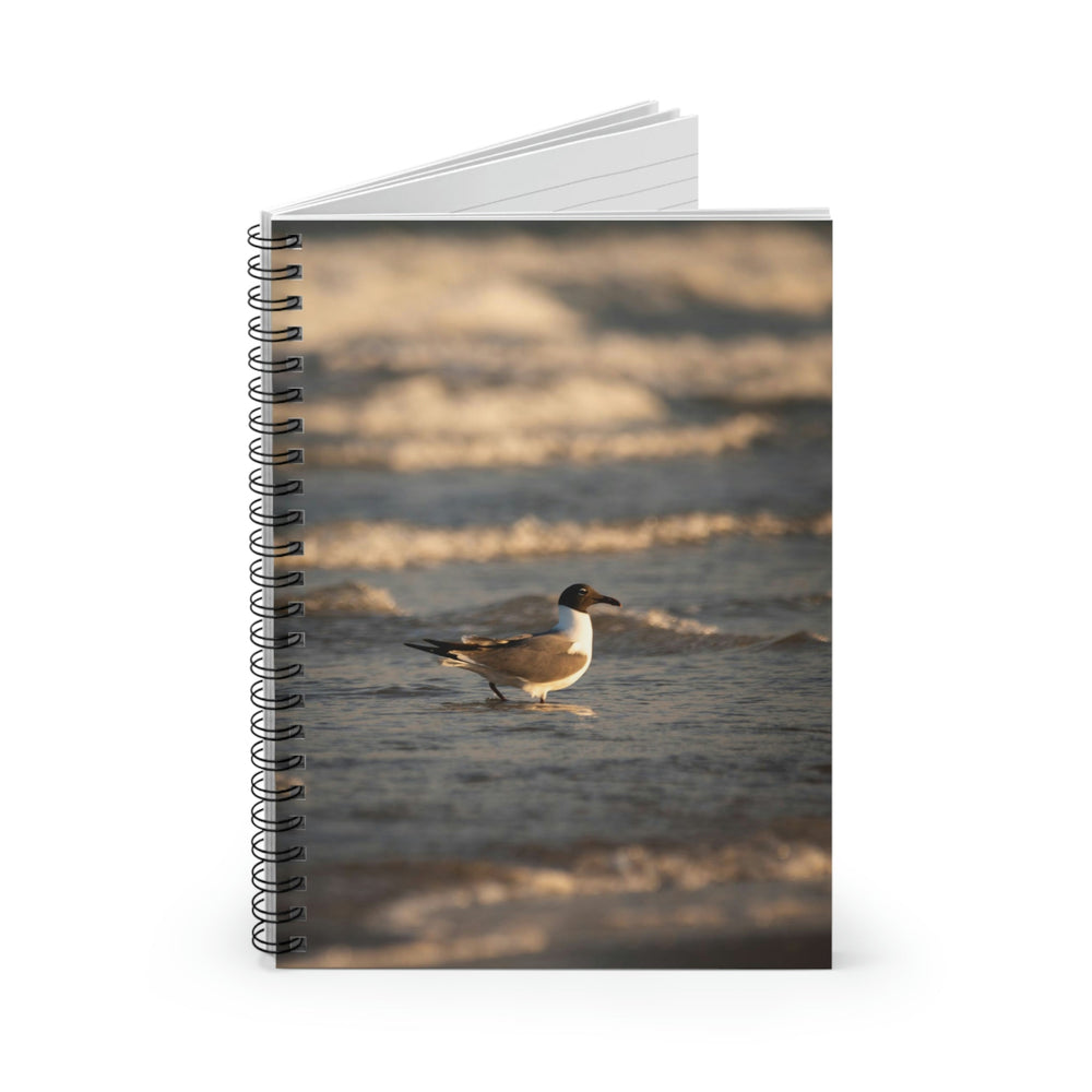 Laughing Gull in the Surf - Spiral Ruled Line Notebook - Visiting This World