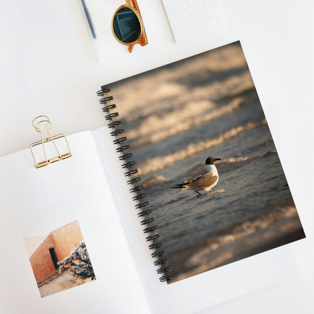 Laughing Gull in the Surf - Spiral Ruled Line Notebook - Visiting This World