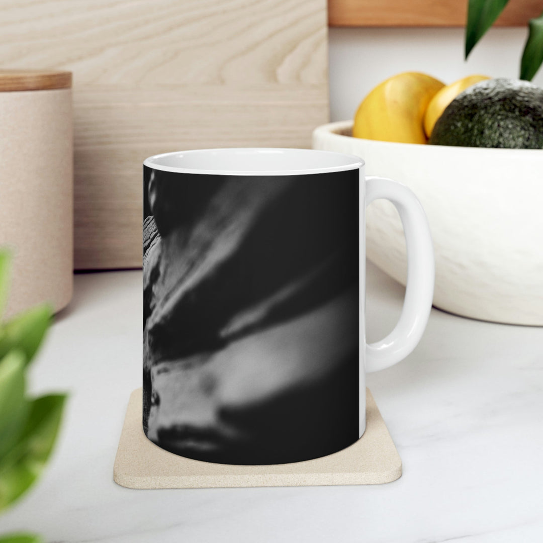 Layers of Rock in Black and White - Ceramic Mug 11oz - Visiting This World