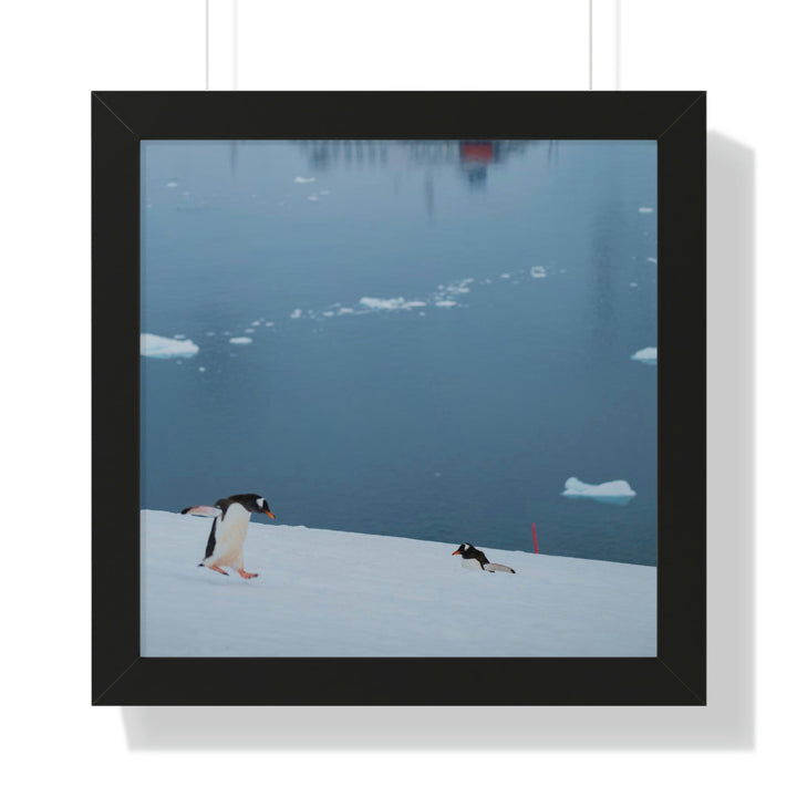 Leaping Journey - Framed Print - Visiting This World