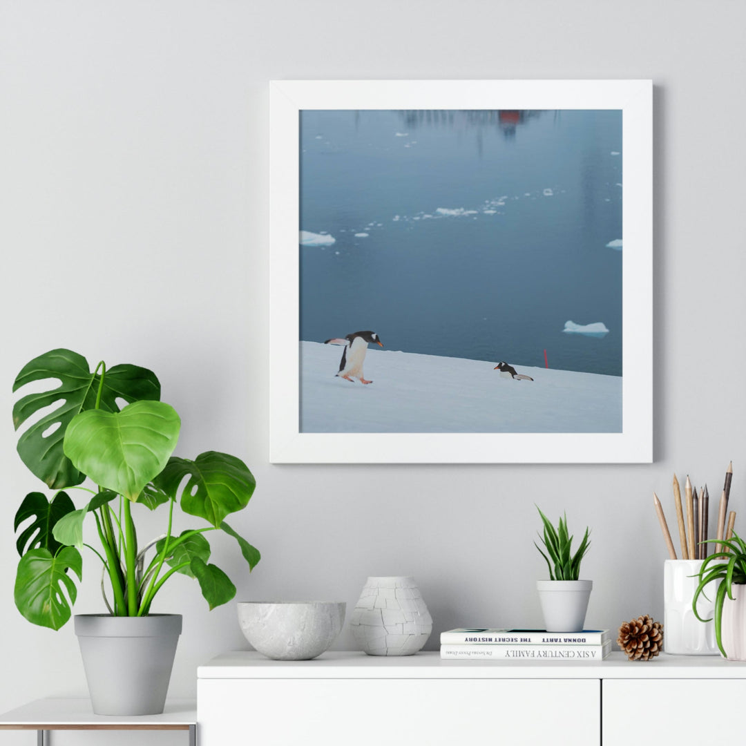 Leaping Journey - Framed Print - Visiting This World