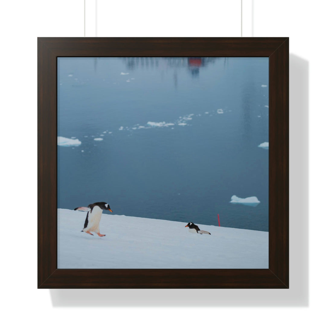 Leaping Journey - Framed Print - Visiting This World