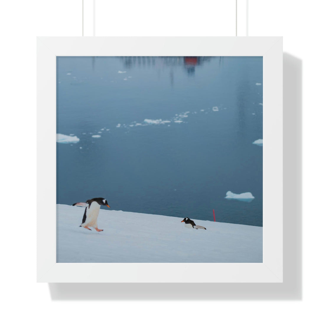 Leaping Journey - Framed Print - Visiting This World