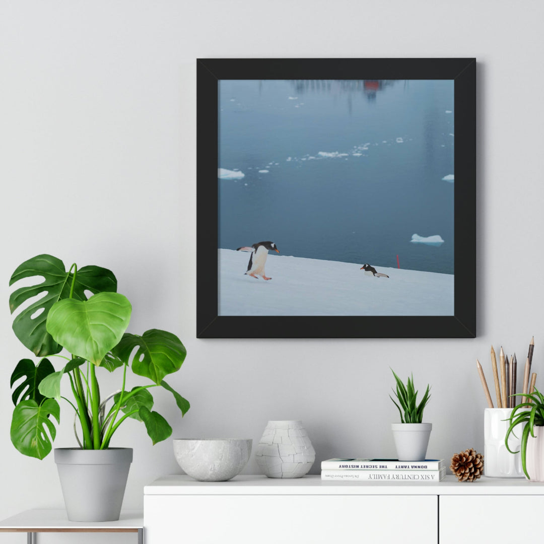 Leaping Journey - Framed Print - Visiting This World