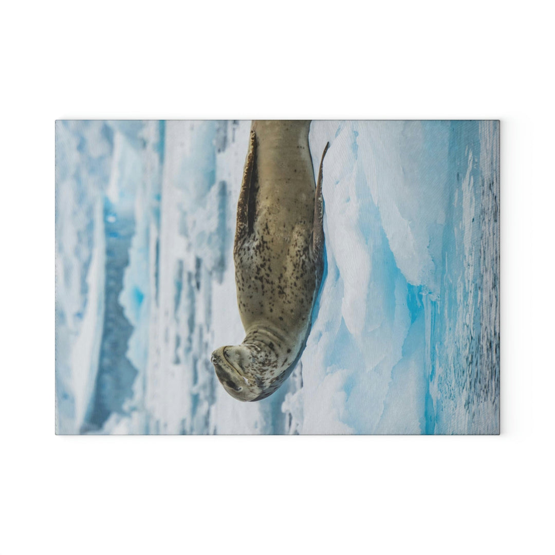 Leopard Seal Relaxing - Glass Cutting Board - Visiting This World