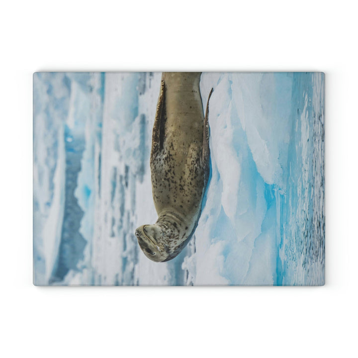 Leopard Seal Relaxing - Glass Cutting Board - Visiting This World