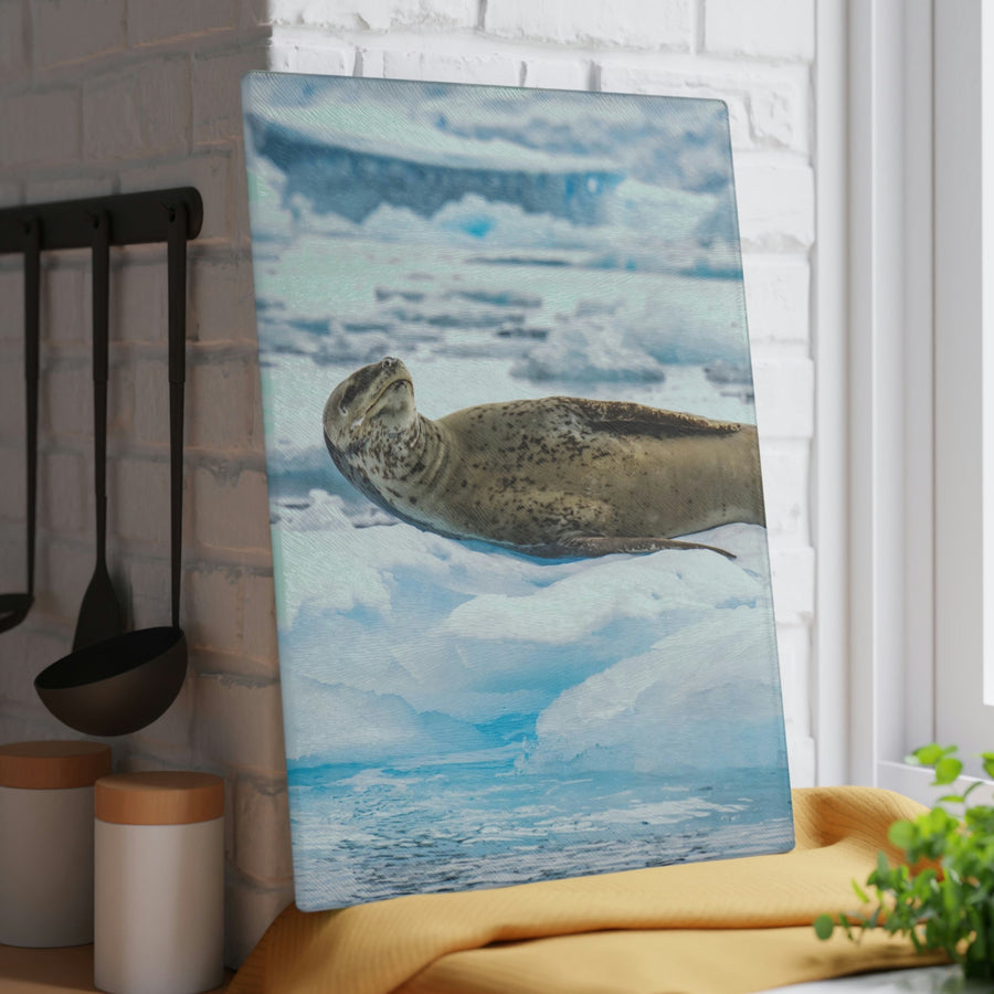 Leopard Seal Relaxing - Glass Cutting Board - Visiting This World