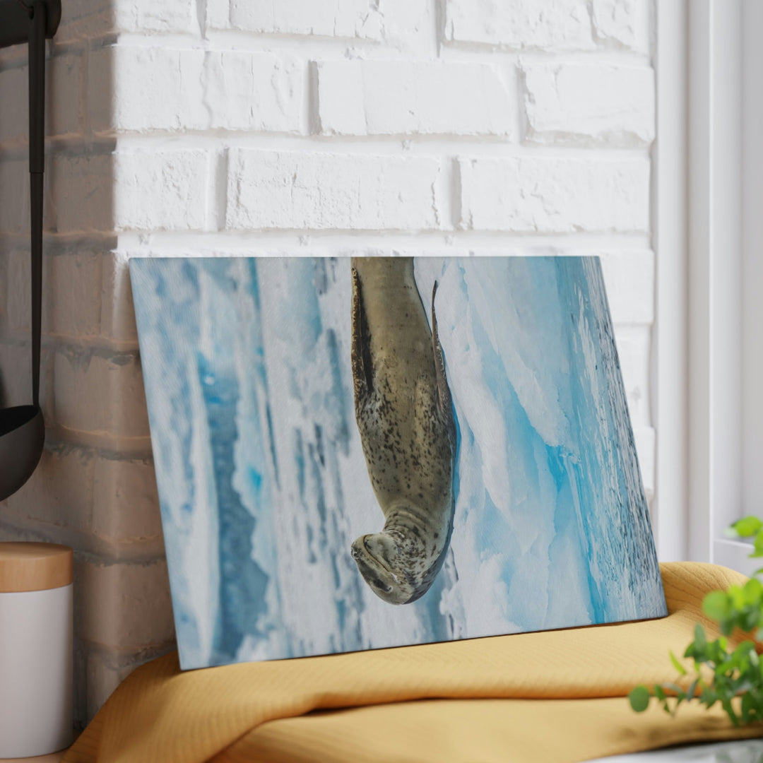 Leopard Seal Relaxing - Glass Cutting Board - Visiting This World