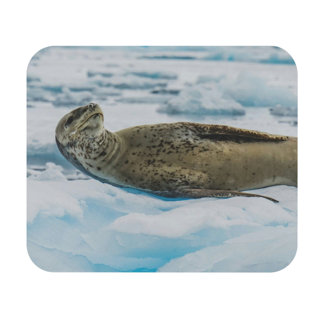 Leopard Seal Relaxing - Mouse Pad (Rectangle) - Visiting This World