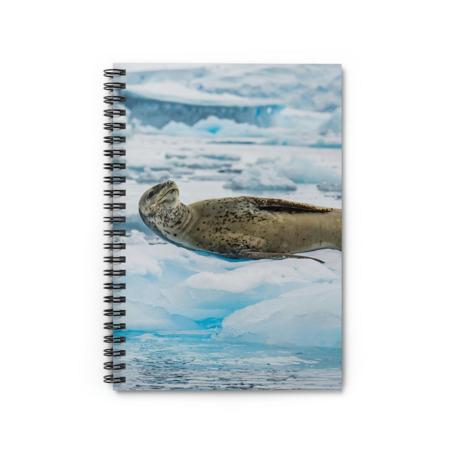 Leopard Seal Relaxing - Spiral Ruled Line Notebook - Visiting This World