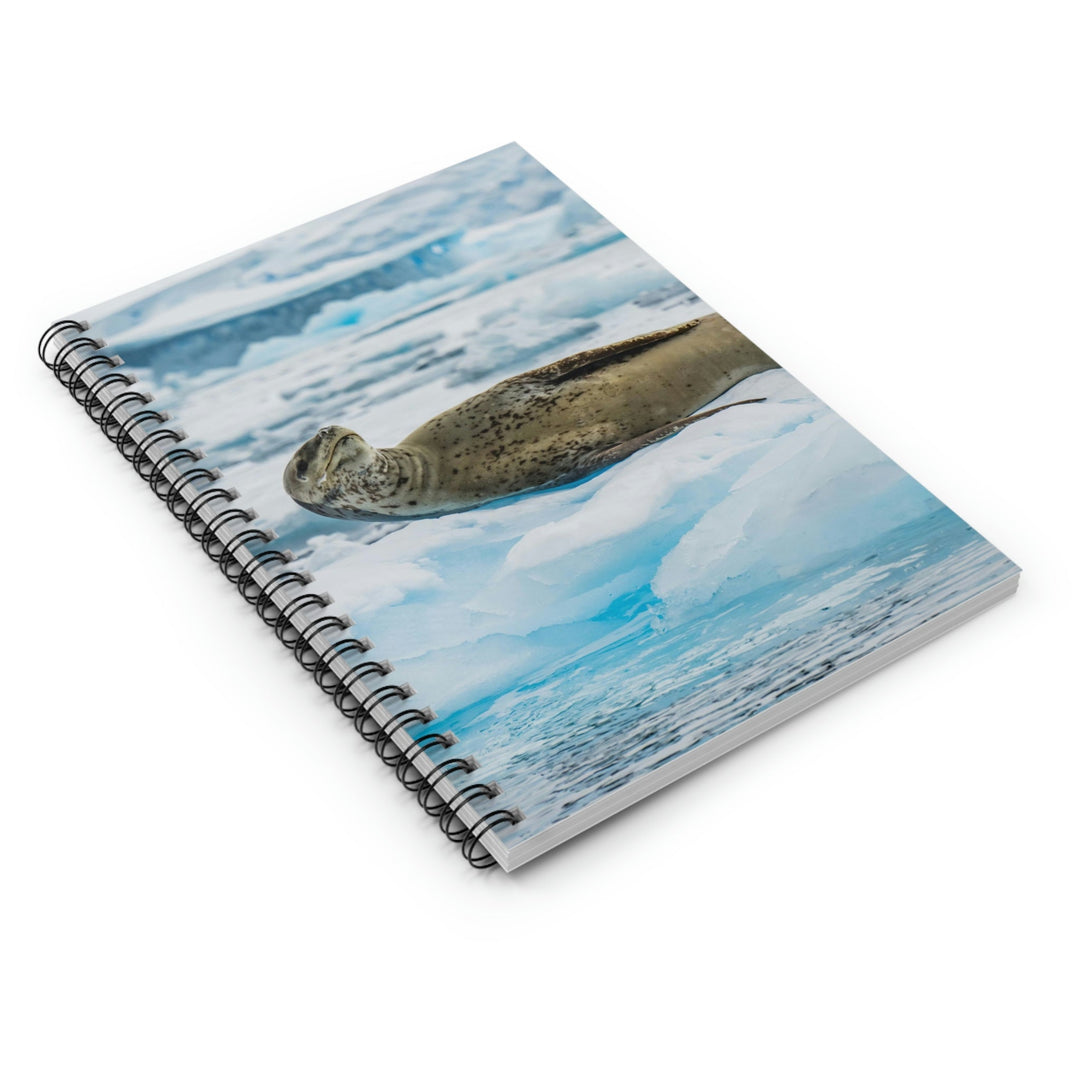 Leopard Seal Relaxing - Spiral Ruled Line Notebook - Visiting This World