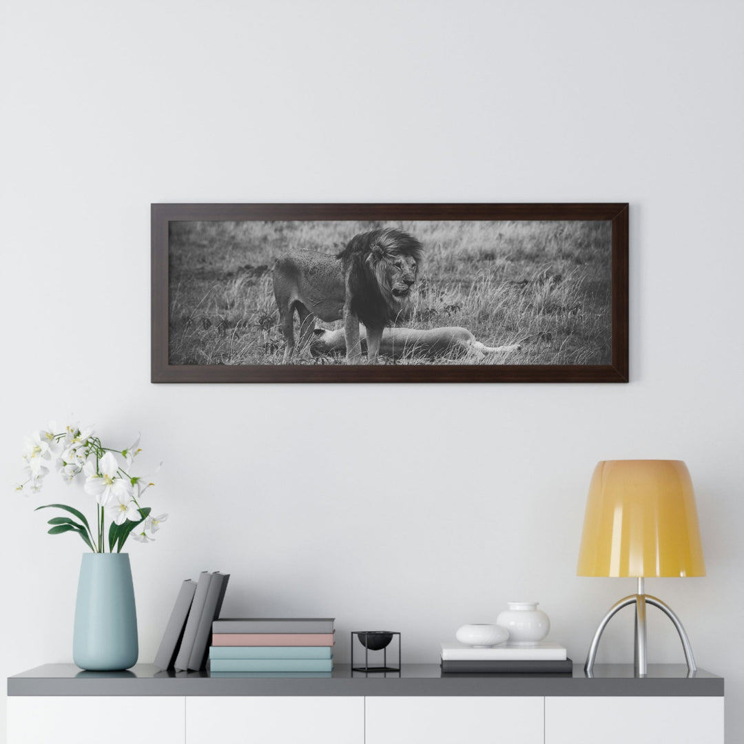 Mating Lions in Black and White - Framed Print - Visiting This World