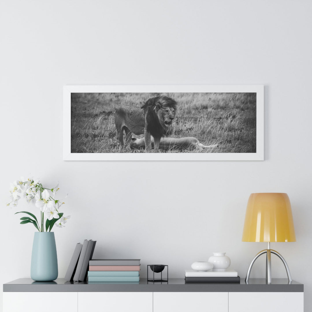 Mating Lions in Black and White - Framed Print - Visiting This World