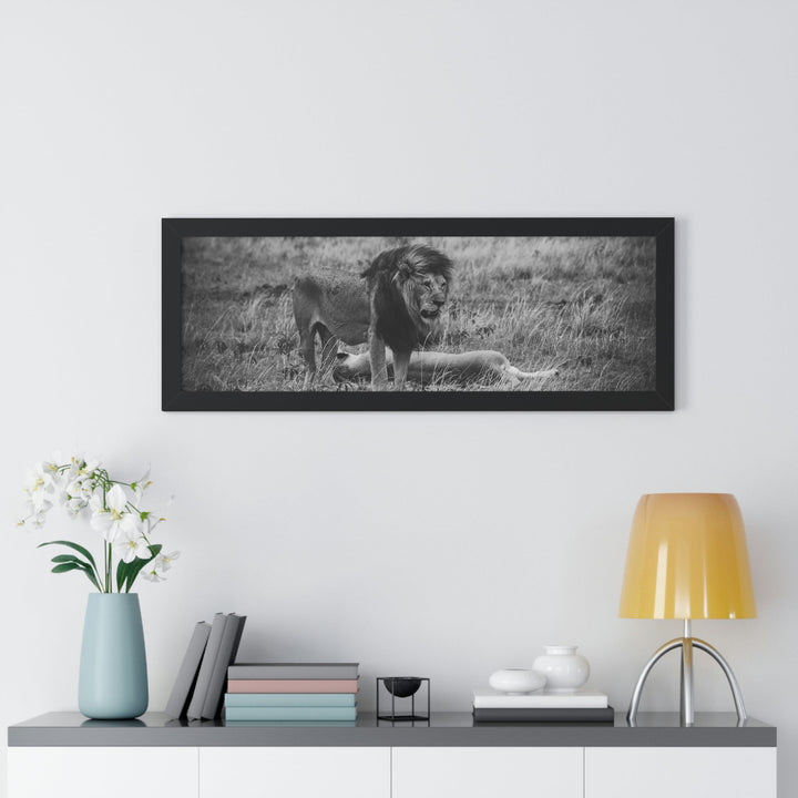 Mating Lions in Black and White - Framed Print - Visiting This World