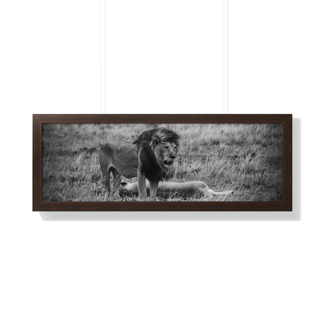 Mating Lions in Black and White - Framed Print - Visiting This World