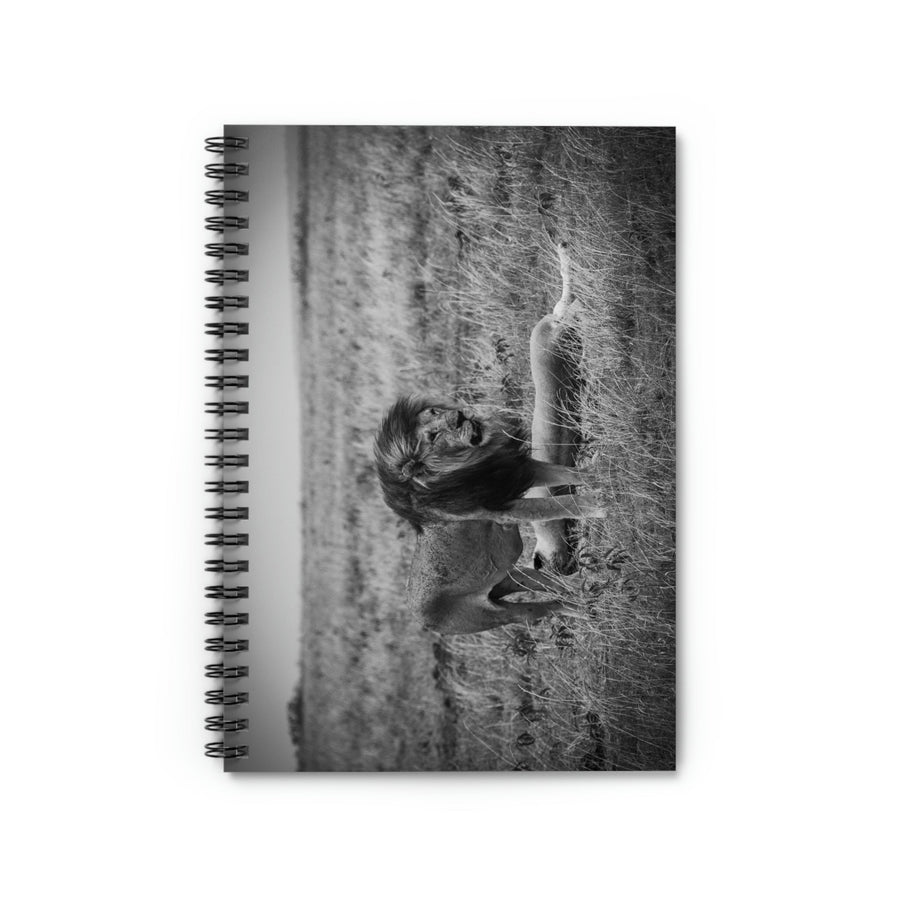 Mating Lions in Black and White - Spiral Ruled Line Notebook - Visiting This World