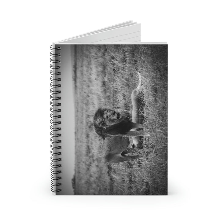 Mating Lions in Black and White - Spiral Ruled Line Notebook - Visiting This World