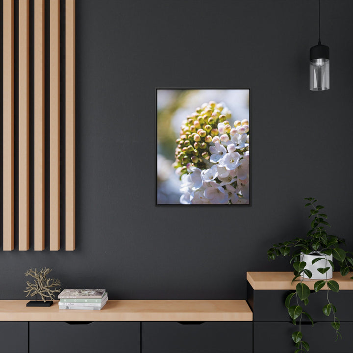 Mid-Bloom - Canvas with Frame - Visiting This World