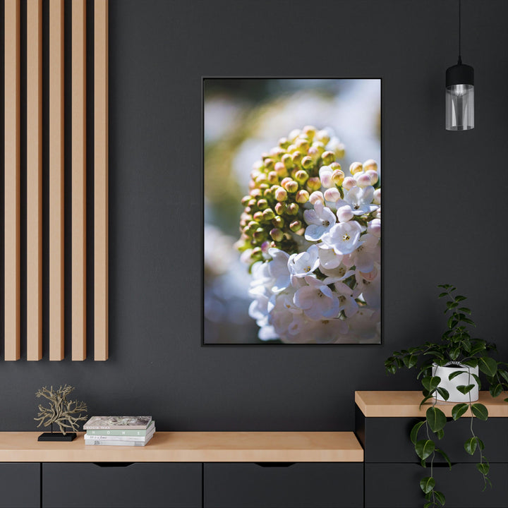 Mid-Bloom - Canvas with Frame - Visiting This World