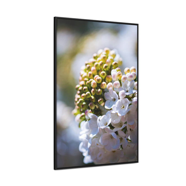 Mid-Bloom - Canvas with Frame - Visiting This World