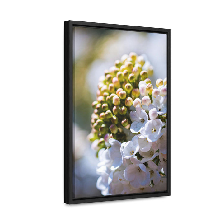 Mid-Bloom - Canvas with Frame - Visiting This World