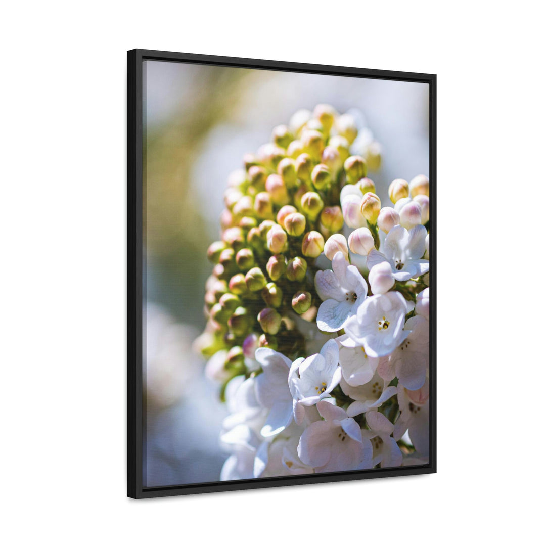 Mid-Bloom - Canvas with Frame - Visiting This World