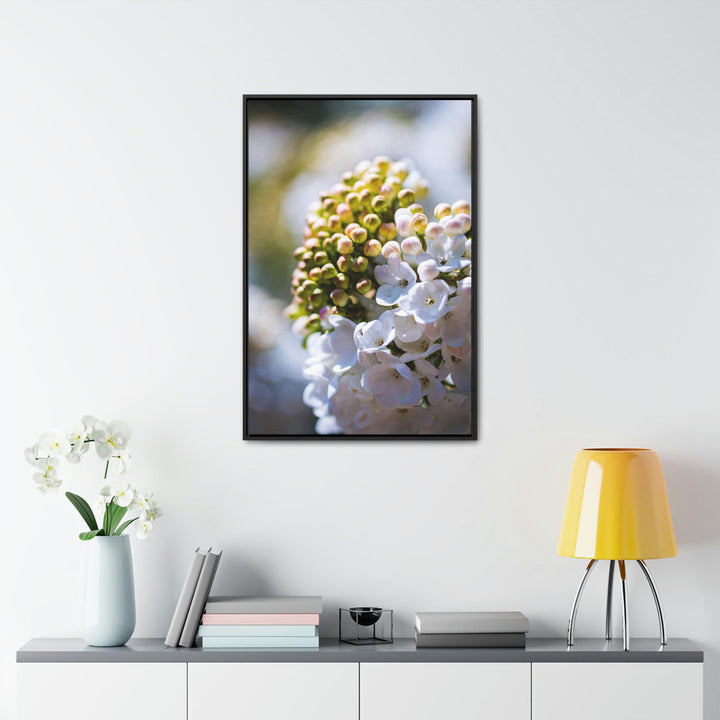 Mid-Bloom - Canvas with Frame - Visiting This World