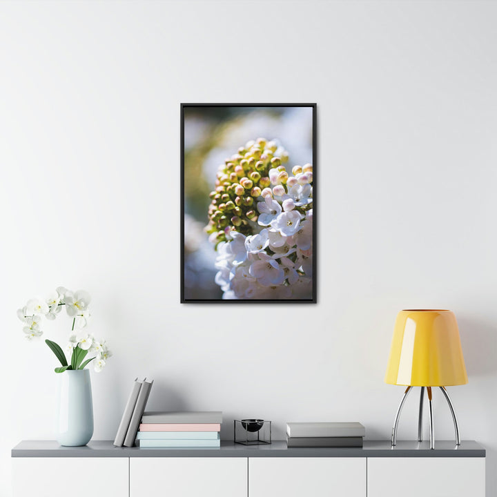 Mid-Bloom - Canvas with Frame - Visiting This World