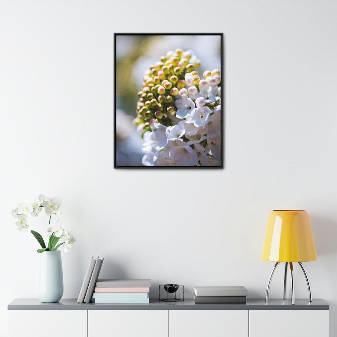 Mid-Bloom - Canvas with Frame - Visiting This World