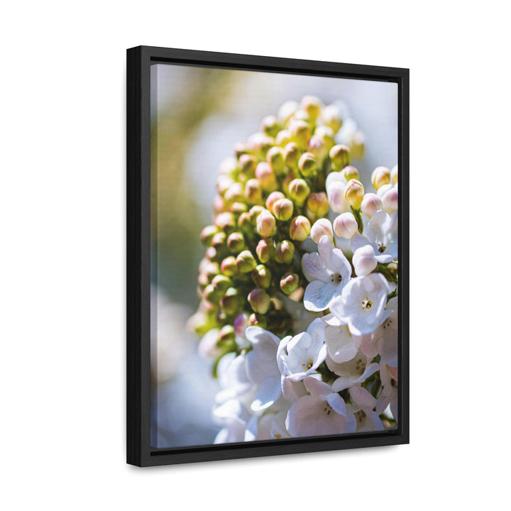 Mid-Bloom - Canvas with Frame - Visiting This World