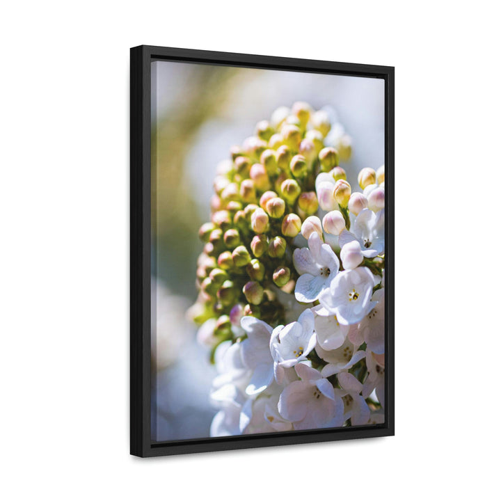 Mid-Bloom - Canvas with Frame - Visiting This World