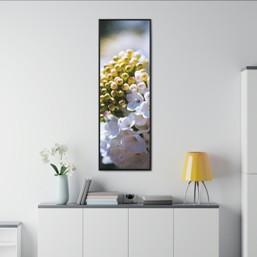 Mid-Bloom - Canvas with Frame - Visiting This World