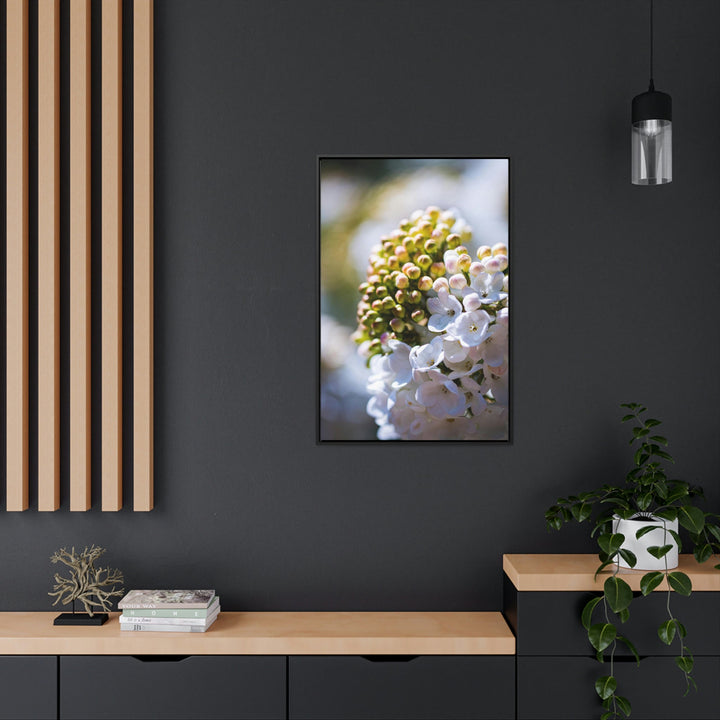 Mid-Bloom - Canvas with Frame - Visiting This World