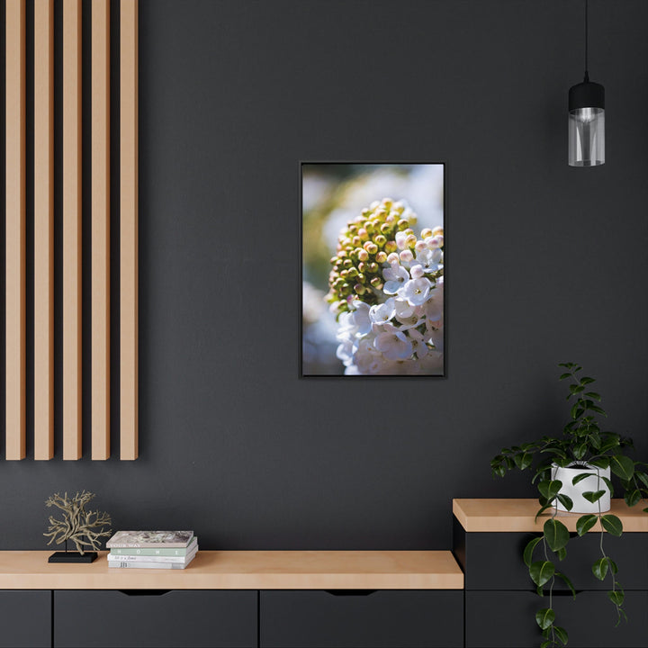 Mid-Bloom - Canvas with Frame - Visiting This World