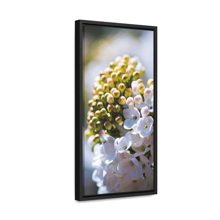 Mid-Bloom - Canvas with Frame - Visiting This World