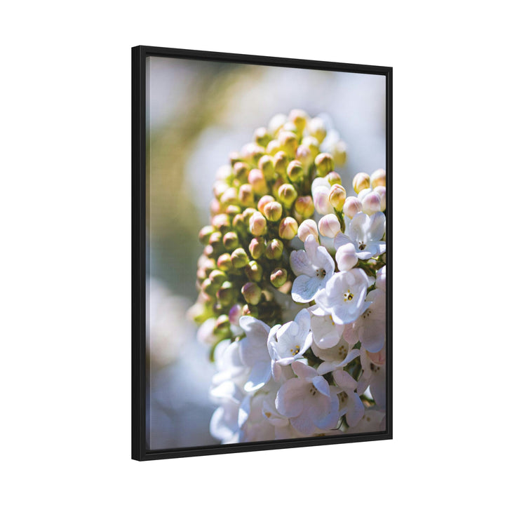 Mid-Bloom - Canvas with Frame - Visiting This World