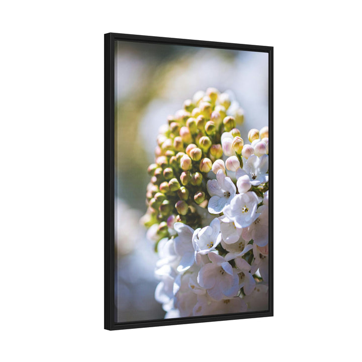 Mid-Bloom - Canvas with Frame - Visiting This World