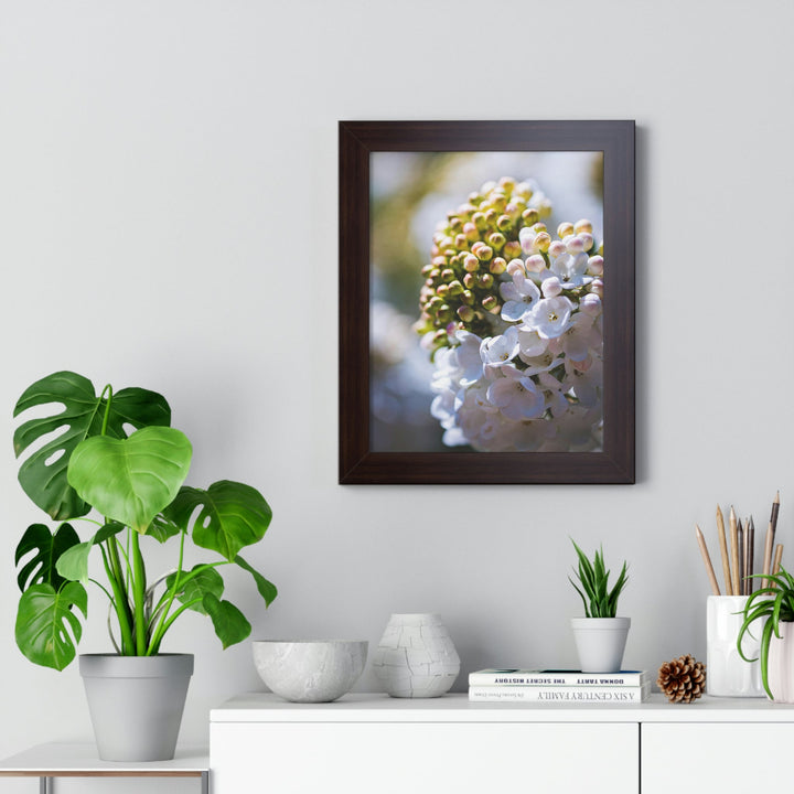 Mid-Bloom - Framed Print - Visiting This World