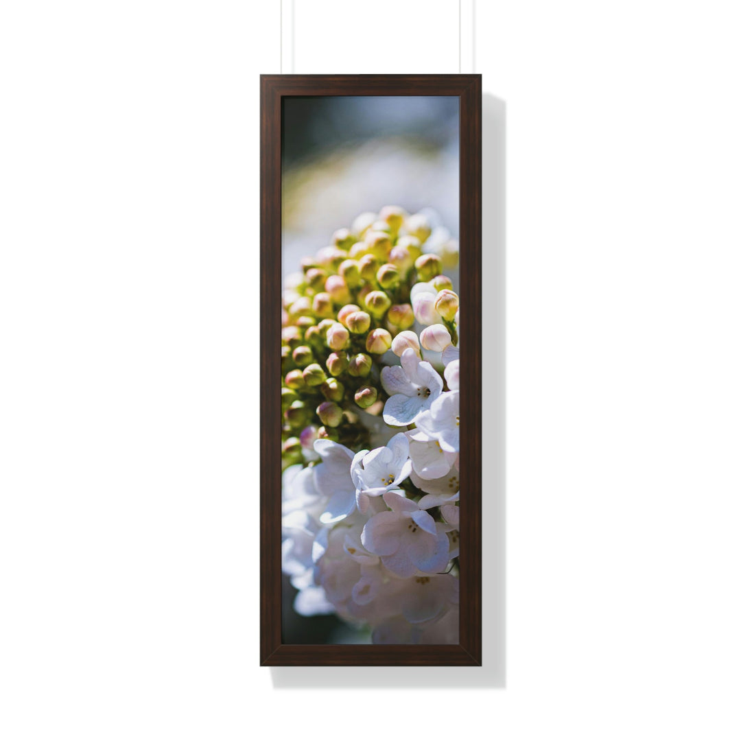 Mid-Bloom - Framed Print - Visiting This World